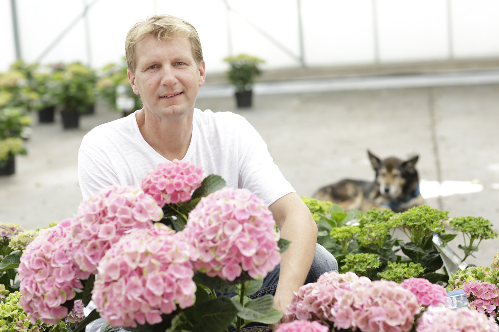Ulrich Hupe als Magical Hydrangea Experte beim Baum Gartenbau aus Düsseldorf